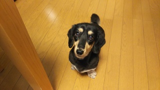 DSC_1859.JPG